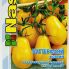 Томат Батерфляй жовтий 40 насінин, напівдетермінантний (Nasko)