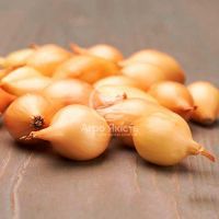 Цибуля сіянка Крусадо 0,5 кг, 10/21 мм (Triumfus Onion Products)