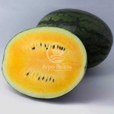 Арбуз КС 500 F1 / KS 500 F1 10 семян (Kitano Seeds)