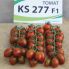 Томат КС 277 F1 / KS 277 F1 100 семян, индетерминантный (Kitano Seeds)