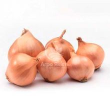 Цибуля шалот Шелія (Бістро) 0,5 кг, 22/48 мм (Triumfus Onion Products)