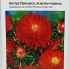 Астра Принцесса ярко-красная 0,2 грама (Hem Zaden)