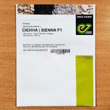 Сельдерей Сиенна F1 / Sienna F1 1000 семян, черешковый (Enza Zaden)