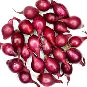 Цибуля сіянка Редровер (Ромі) 1 кг, 8/16 мм (Triumfus Onion Products)