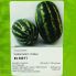 Арбуз КС 350 F1 / KS 350 F1 100 семян (Kitano Seeds)