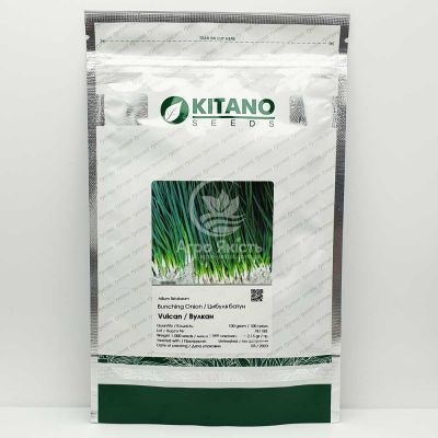 Лук на перо Вулкан/Vulcan 100 грамм, лук батун (Kitano Seeds)