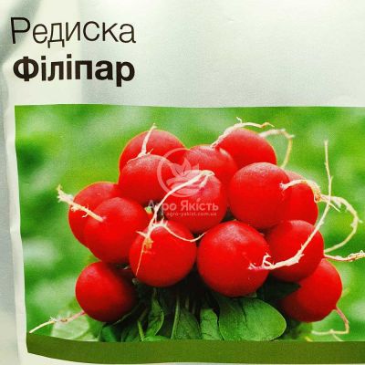 Редис Филипар F1 / Filipar F1 10000 семян (Syngenta)