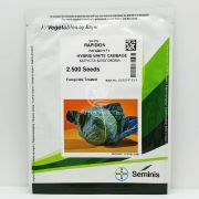 Капуста белокочанная Рапидион F1 / Rapidion F1 2500 семян (Seminis)