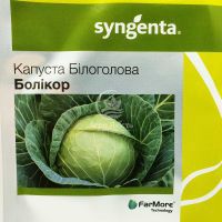 Капуста білоголова Болікор F1 / Bolicor F1 2500 насінин (Syngenta)