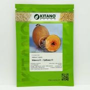 Дыня Трибека F1 / Tribeca F1 100 семян (Kitano Seeds)