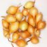 Лук севок Люси (Сеншуй Йеллоу) 1 кг, 8/16 мм (Triumfus Onion Products)