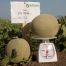 Диня КС 7044 F1 / KS 7044 F1 10 насінин (Kitano Seeds)