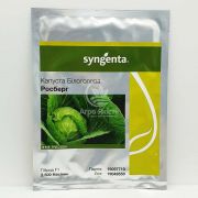 Капуста білоголова Росберг F1 / Rosberg F1 2500 насінин (Syngenta)