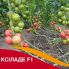 Томат Ксилад F1 / Xilade F1 10 семян, индетерминантный (Nunhems)
