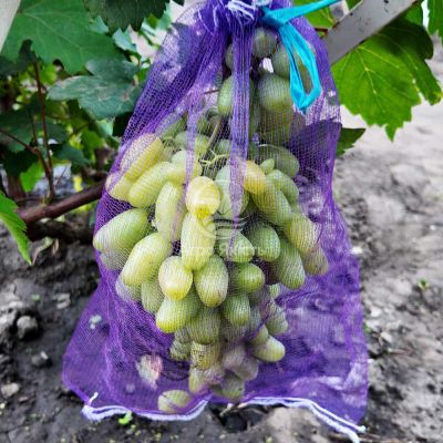 Захисна сітка (сітка-мішок) для винограду 22х35см 2кг, 50 шт в упаковці (Agreen)