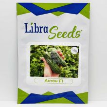 Огірок Астон F1 / Aston F1 250 насінин, партенокарпічний (Libra Seeds)