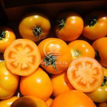 Томат Свит Сан F1 / Sweet Sun F1 500 семян, детерминантный (Spark Seeds)