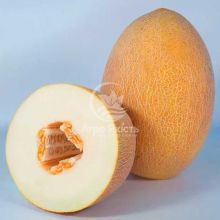 Диня Кубус F1 / Cubus F1 10 насінин (Kitano Seeds)