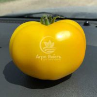 Томат Йеллоу Болл F1 / Yellow Boll F1 250 семян, индетерминантный (Spark Seeds)