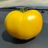 Томат Йеллоу Болл F1 / Yellow Boll F1 250 семян, индетерминантный (Spark Seeds)