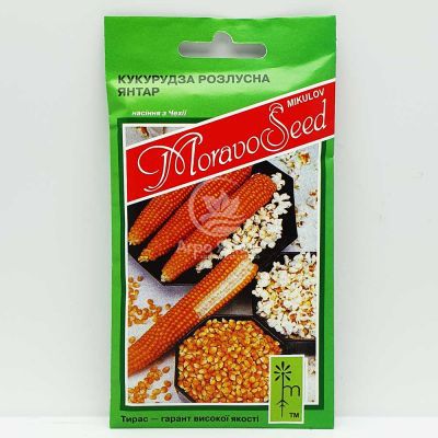 Кукурудза цукрова Янтар 10 грам (MoravoSeed)