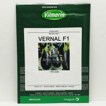 Баклажан Вернал F1 / Vernal F1 1000 семян (Vilmorin)