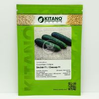 Огурец Синклер (КС 80) F1 / Sincler (KS 80) F1 250 семян, партенокарпический (Kitano Seeds)