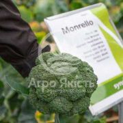 Капуста брокколи Монрело F1 / Monrello F1 25 семян (Syngenta)