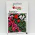 Цикламен персидський Маленький принц 3 насінини, багаторічна кімнатна квітка (Hem Zaden)