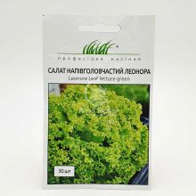 Салат Леонора 30 семян (Wing Seed)