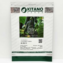 Огірок КС 707 F1 / KS 707 F1 500 насінин, партенокарпічний (Kitano Seeds)