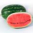 Арбуз КС 632 F1 / KS 632 F1 100 семян (Kitano Seeds)