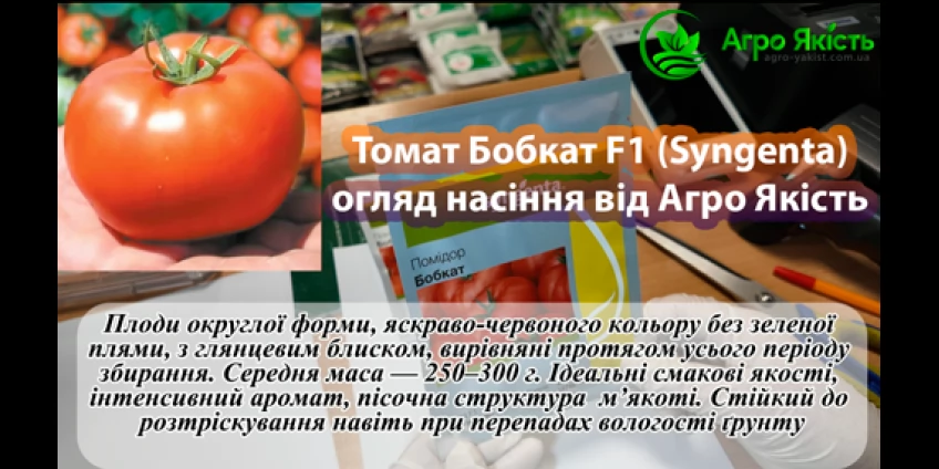 Семена томата Бобкат F1 / Bobcat F1 (Syngenta) — детерминантный, среднеранний Семена томата Бобкат F1 / Bobcat F1 (Syngenta) — детерминантный, среднеранний