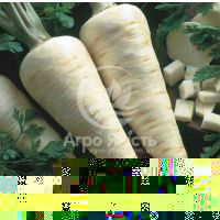 Петрушка корневая Игл 2 г