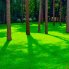 Газонная трава Теневая PARK 20 кг (DLF)