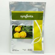 Патиссон Санбурст F1 / Sunburst F1 500 семян (Syngenta)