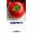 Томат Бодерин F1 500 семян (Syngenta)